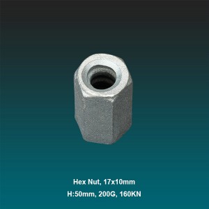Hext Nut,Formwork Hex Nut
